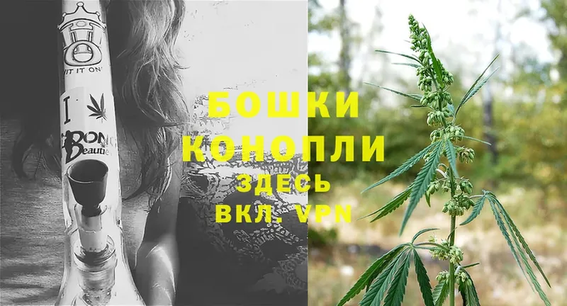 наркота  дарк нет наркотические препараты  МАРИХУАНА OG Kush  Змеиногорск 